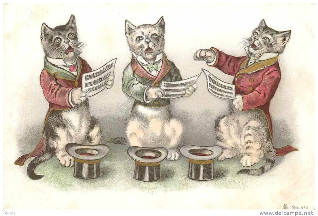 Chats chanteurs